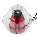 image%20-%202025-01-16T100652.046.webp