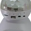51GrkbAE3wS._AC_SL1000_.webp