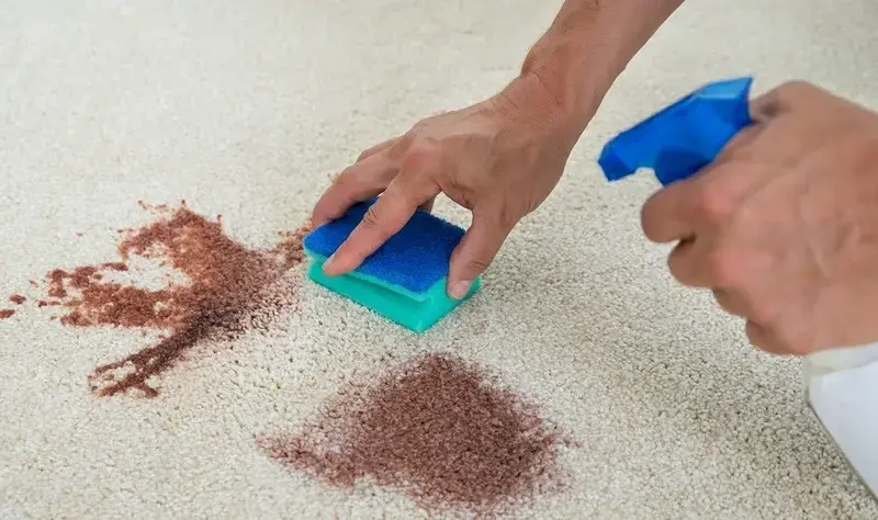 How-to-Remove-Almost-Every-Stain.webp