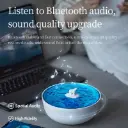 image_5_44c3d772-d08f-47f3-8afb-b6cd4f07ac61_1024x.webp