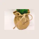 7400_ZHIWU.webp