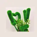 789_AEGJF.webp