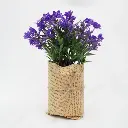 1_QNQQE.webp