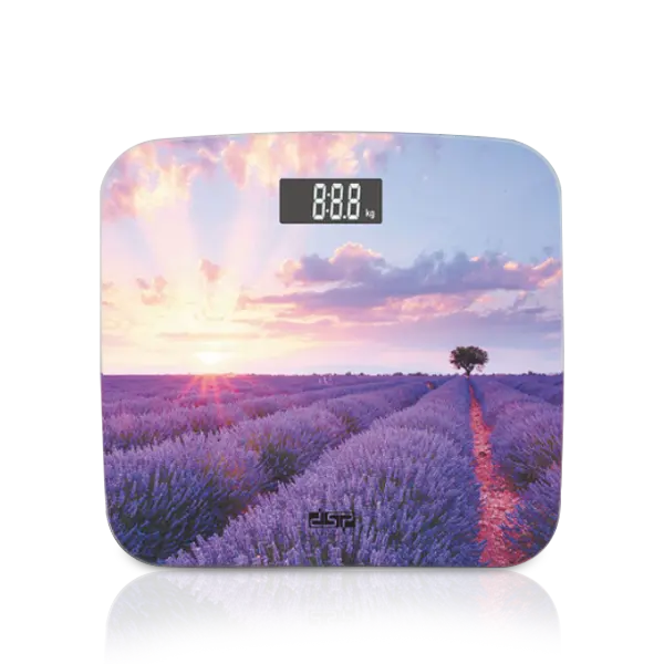 Body Scale Lavender Landscape