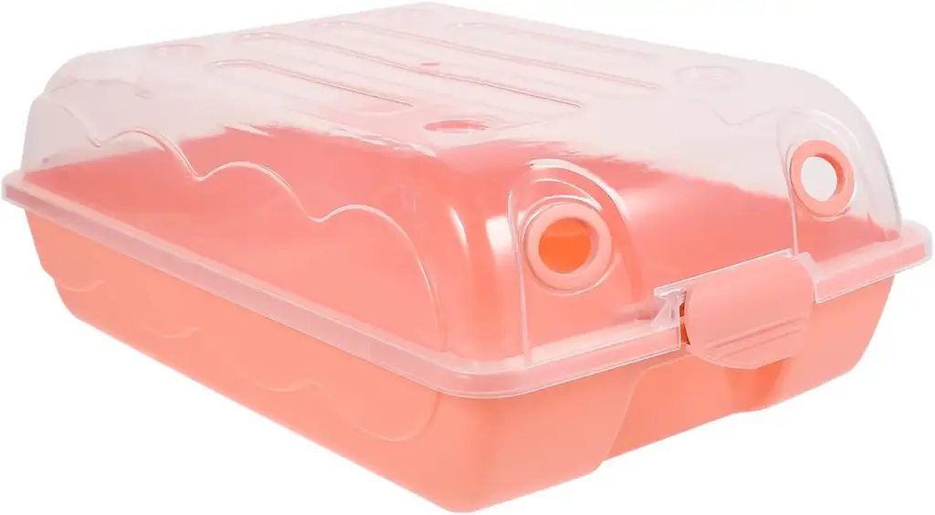 Case For Shoes 
