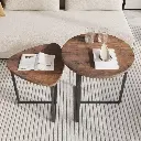 Set of 2 Modern Nesting Tables 