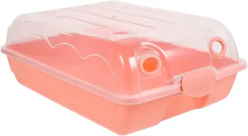 Case For Shoes 