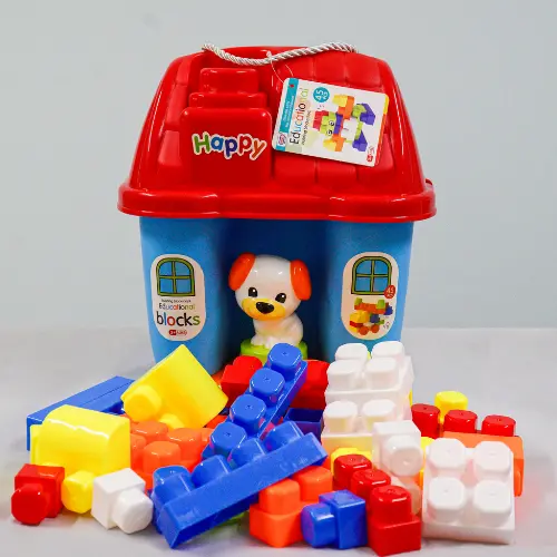 Educational Boy Building Block
