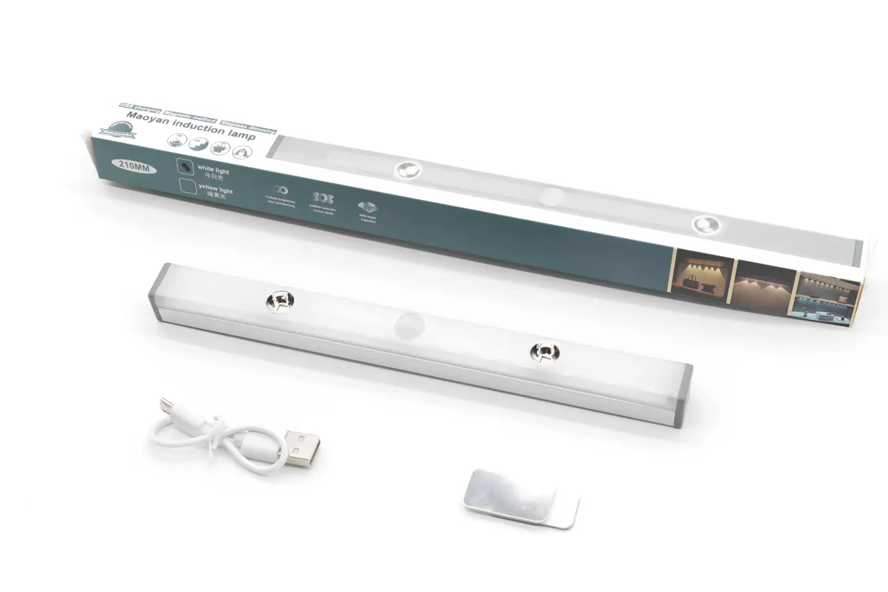 Induction Lamp