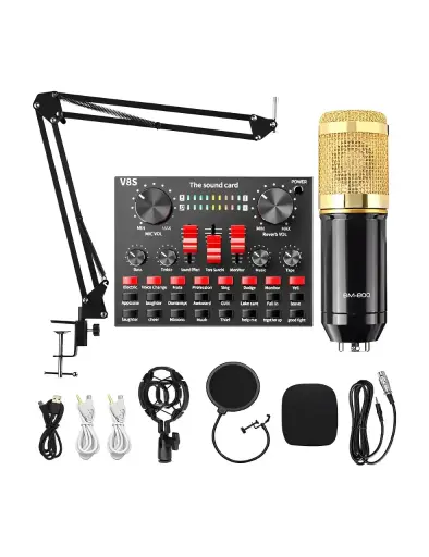 Professional Condenser Microphone Legandry Vocal 