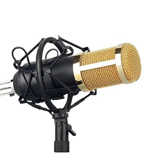 Professional Condenser Microphone Legandry Vocal  
