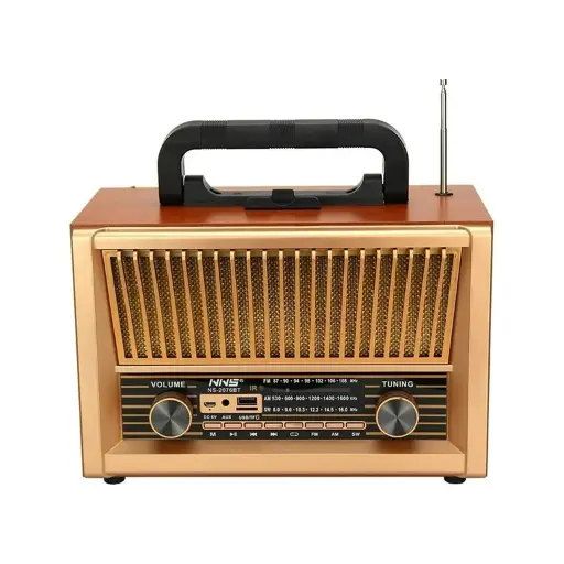 Radio Speaker NS-2076BT