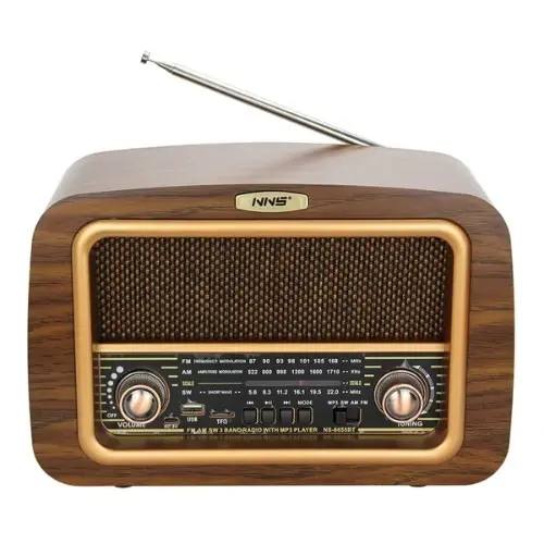 Radio Speaker NS-6655BT