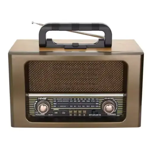 Radio Speaker NS-6670BT 