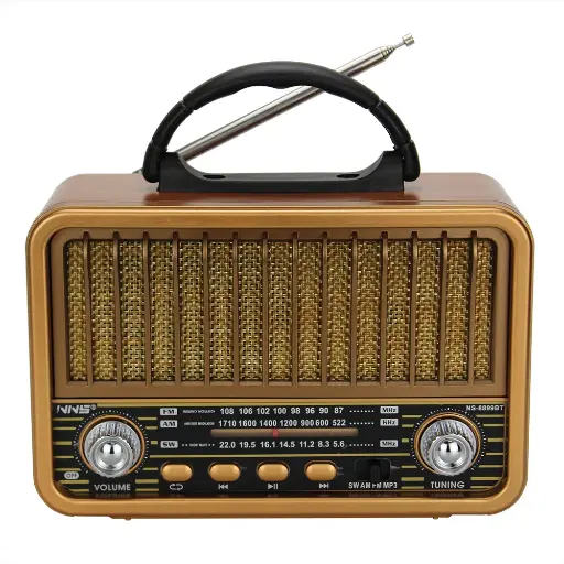 Radio Speaker NS-8899BT 