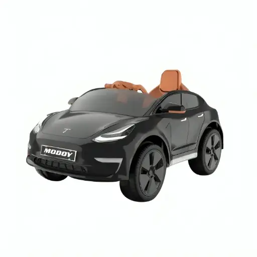 Tesla Car